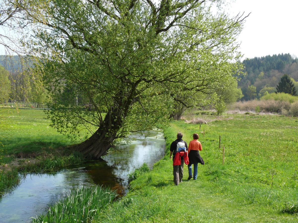 Blick Zum Maimont Hotell Ludwigswinkel Exteriör bild